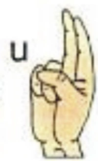 letra U
